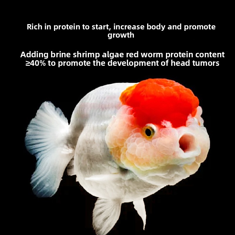 Makanan Ikan Bayi Tenggelam un - Baby Food High In Protein ulasan dan harga