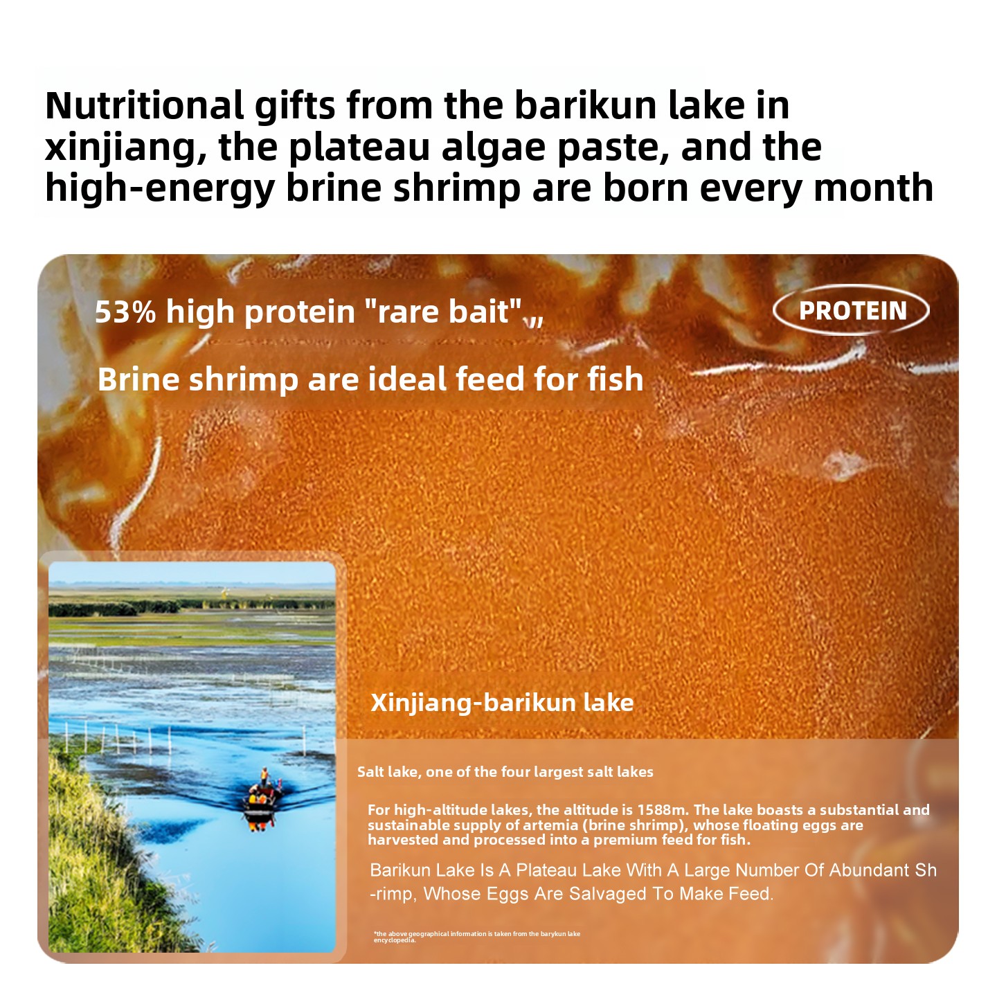 SANKii Artemia Udang Air Asin  - Baby Food High In Protein ulasan dan harga