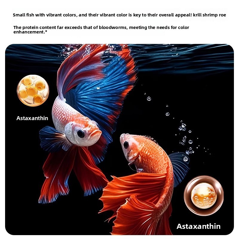 Yee Krill & Baby Shrimp Dry Fo - Baby Food High In Protein ulasan dan harga